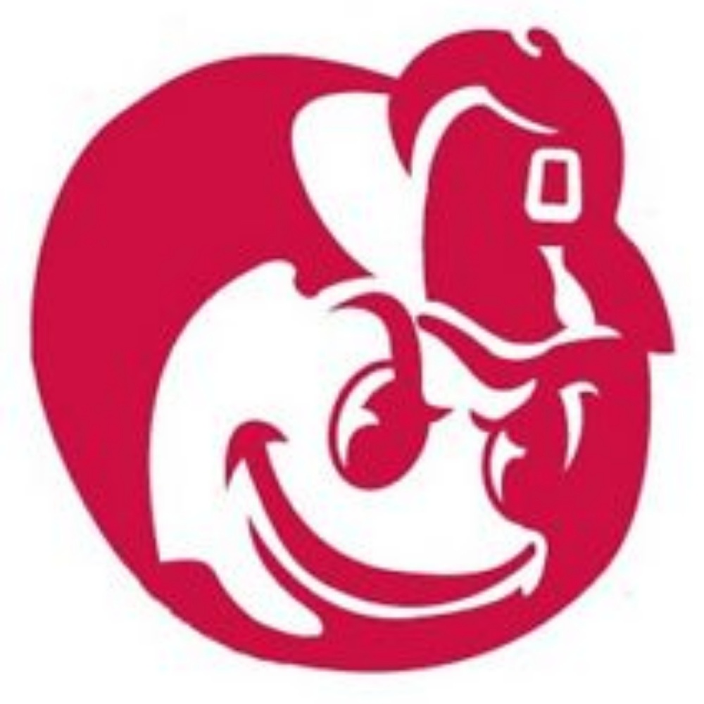 BRUTUS HEAD OHIO STATE VINYL DECAL